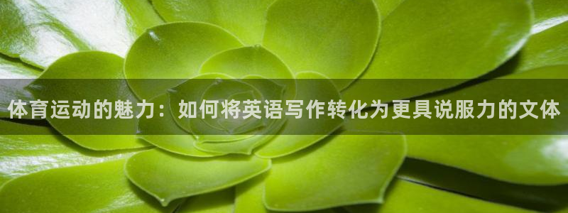 体育运动的魅力：如何将英语写作转化为更具说服力的文体