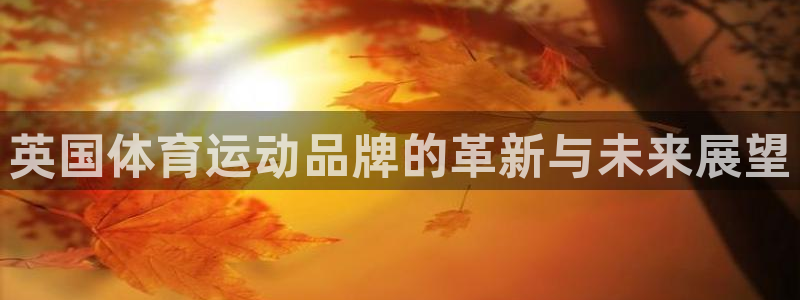 英国体育运动品牌的革新与未来展望
