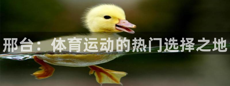 邢台：体育运动的热门选择之地