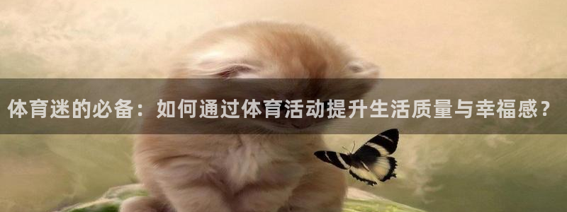 体育迷的必备：如何通过体育活动提升生活质量与幸福感？