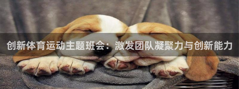 创新体育运动主题班会：激发团队凝聚力与创新能力
