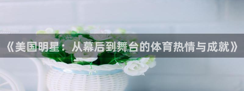《美国明星：从幕后到舞台的体育热情与成就》