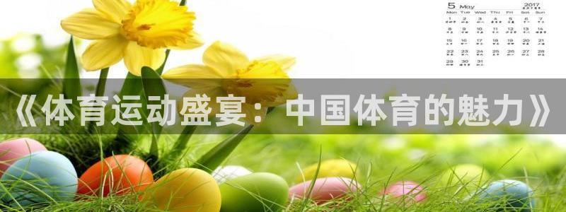 《体育运动盛宴：中国体育的魅力》