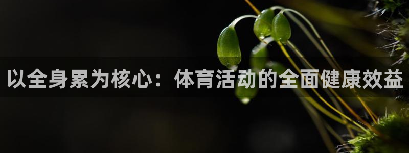 以全身累为核心：体育活动的全面健康效益