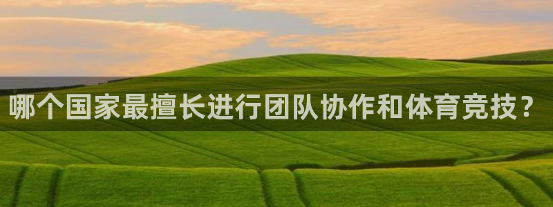 哪个国家最擅长进行团队协作和体育竞技？