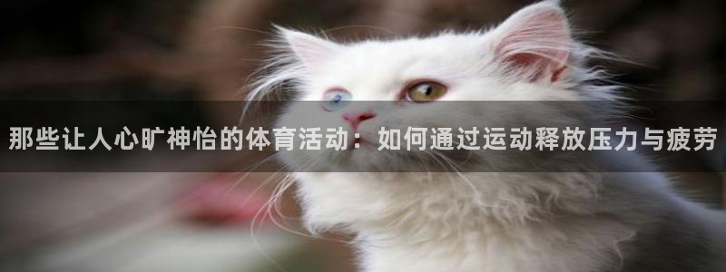 那些让人心旷神怡的体育活动：如何通过运动释放压力与疲劳