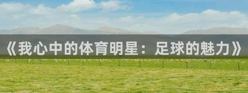 《我心中的体育明星：足球的魅力》