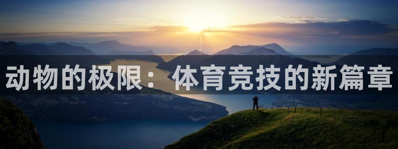 动物的极限：体育竞技的新篇章