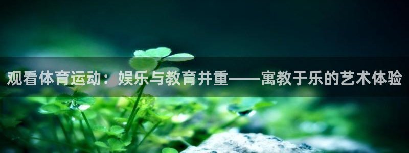 观看体育运动：娱乐与教育并重——寓教于乐的艺术体验