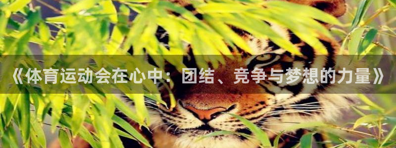 《体育运动会在心中：团结、竞争与梦想的力量》