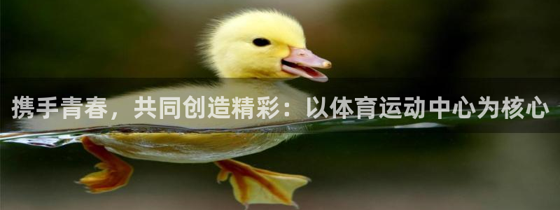 携手青春，共同创造精彩：以体育运动中心为核心