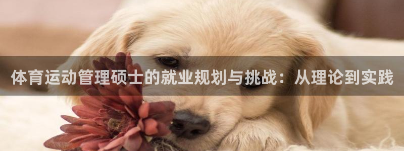 体育运动管理硕士的就业规划与挑战：从理论到实践