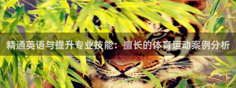 精通英语与提升专业技能：擅长的体育运动案例分析