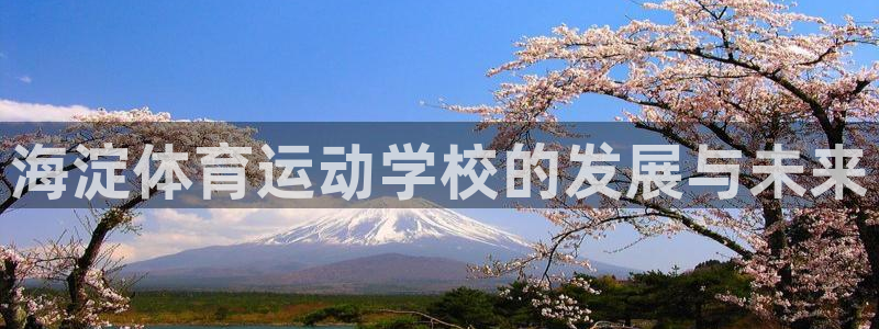 海淀体育运动学校的发展与未来