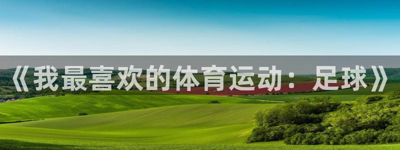 《我最喜欢的体育运动：足球》