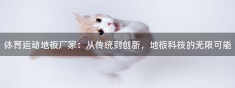 体育运动地板厂家：从传统到创新，地板科技的无限可能